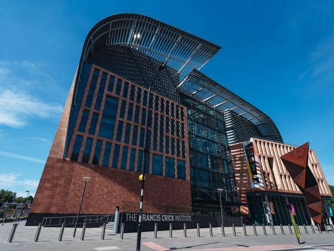 SANDOR SZMUTKO_CRICK INSTITUTE_SHUTTERSTOCK_1736426285