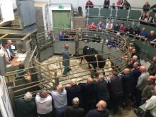 auction2_Bakewell_12Aug19_pw resize